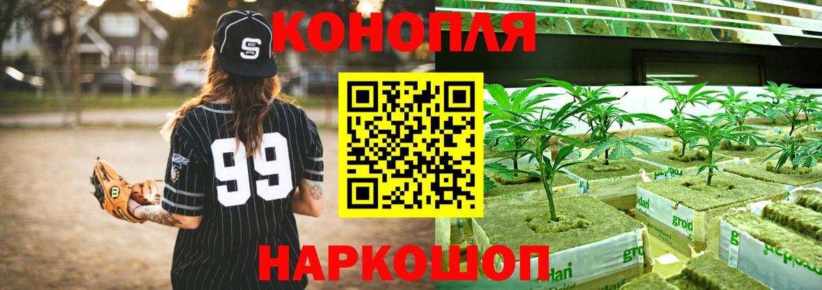 Каннабис марихуана  Бошки марихуана White Widow  Дмитров  Вход с VPN  Канабис White Widow  Бошки марихуана ГИДРОПОН 